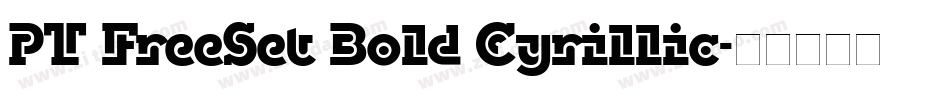 PT FreeSet Bold Cyrillic字体转换